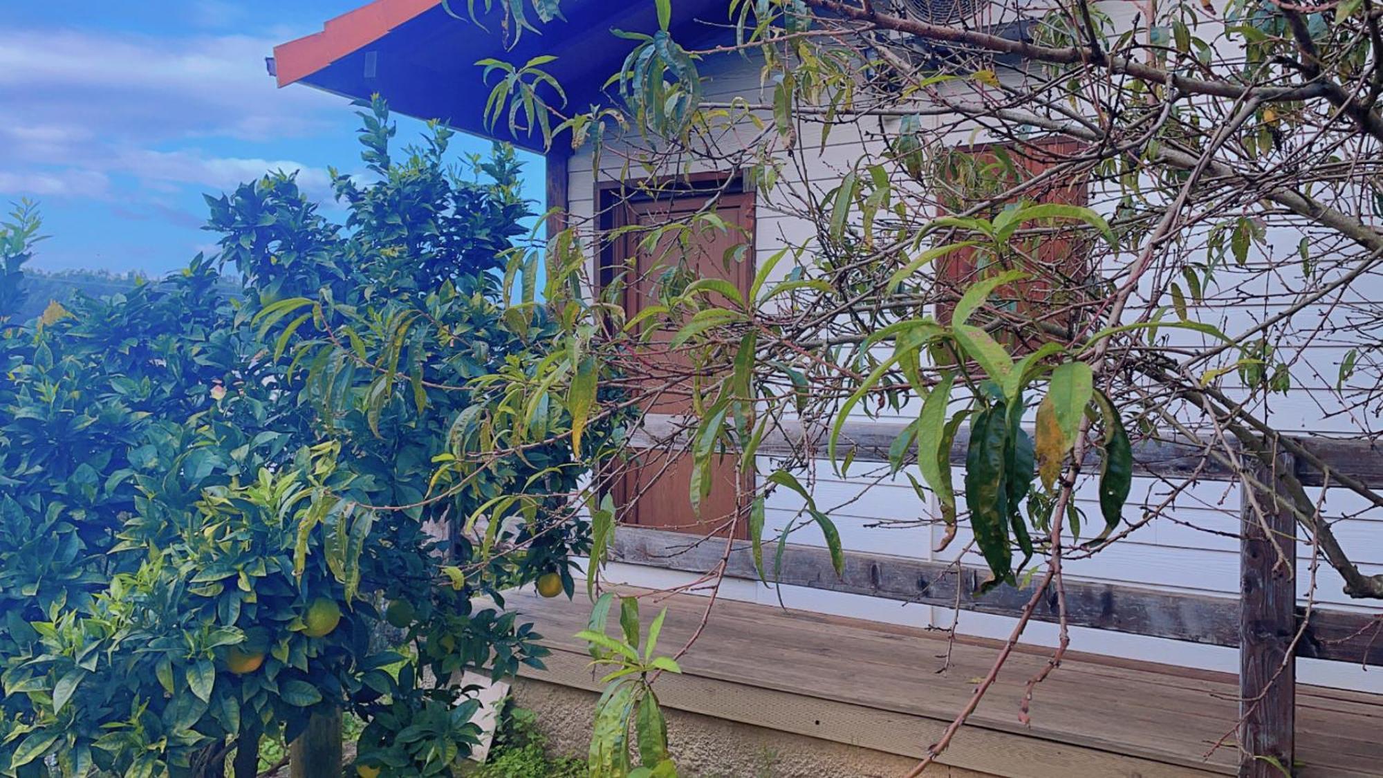 Jantesta Guest House โกอิมบรา ภายนอก รูปภาพ